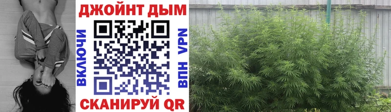 Купить закладки  Зеленодольск  Каннабис VHQ 